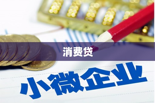 芦淞消费贷