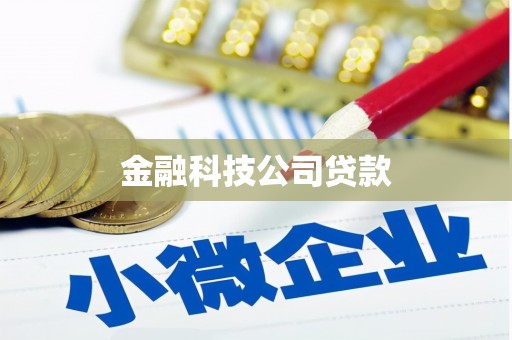 港闸金融科技公司贷款