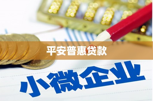潮安平安普惠贷款
