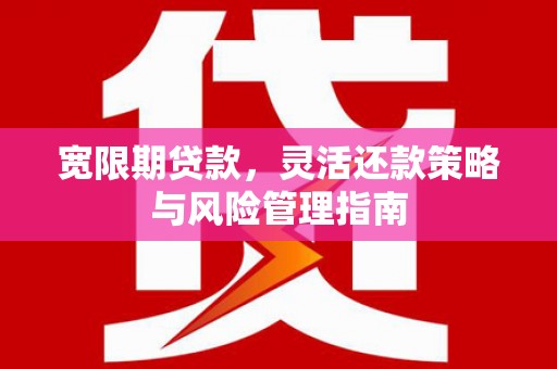 卓尼宽限期贷款，灵活还款策略与风险管理指南