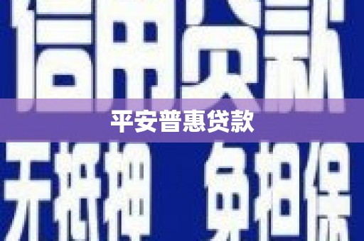 陆丰平安普惠贷款