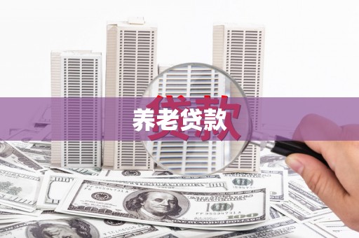 荔城养老贷款