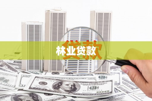 志丹林业贷款