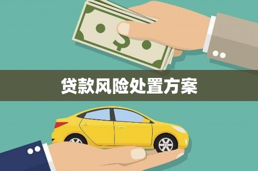 桃江贷款风险处置方案
