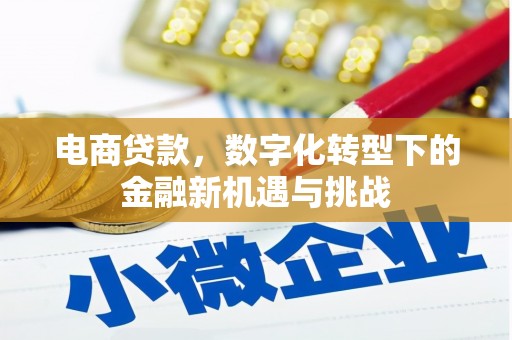 临安电商贷款，数字化转型下的金融新机遇与挑战