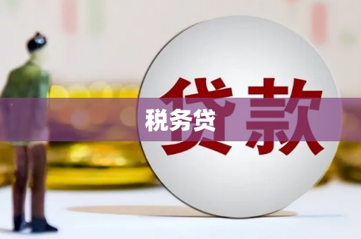 梨树县税务贷