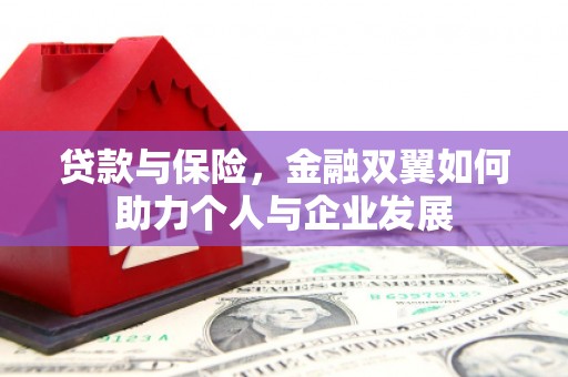 苍南贷款与保险，金融双翼如何助力个人与企业发展