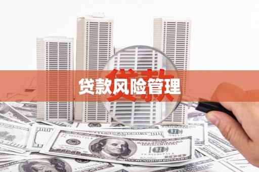 洋县贷款风险管理