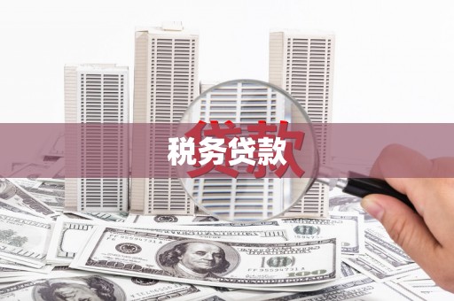 沁县税务贷款