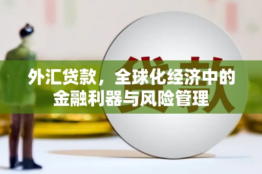 板桥外汇贷款，全球化经济中的金融利器与风险管理