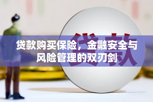 盐埕贷款购买保险，金融安全与风险管理的双刃剑