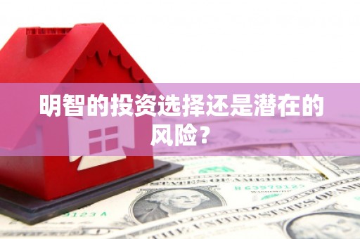 贞丰明智的投资选择还是潜在的风险？