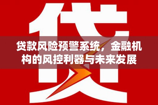 玉田贷款风险预警系统，金融机构的风控利器与未来发展