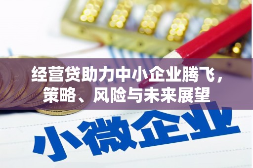 阿瓦提经营贷助力中小企业腾飞，策略、风险与未来展望
