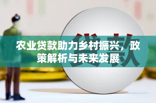 山海关农业贷款助力乡村振兴，政策解析与未来发展