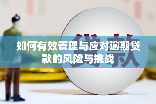 西安如何有效管理与应对逾期贷款的风险与挑战