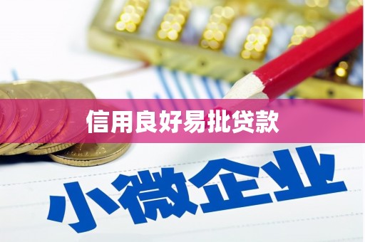 惠济信用良好易批贷款