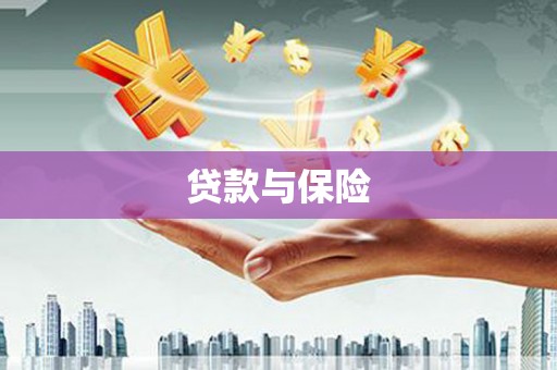 马边贷款与保险