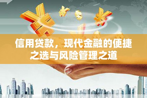 布拖信用贷款，现代金融的便捷之选与风险管理之道