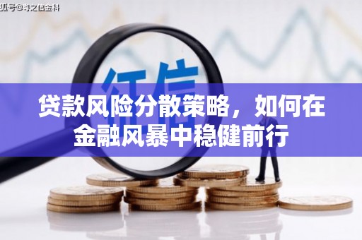 泽普贷款风险分散策略，如何在金融风暴中稳健前行