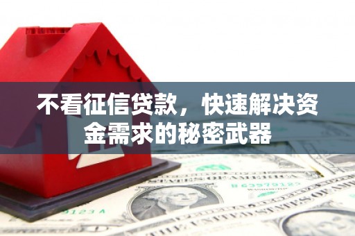 定海不看征信贷款，快速解决资金需求的秘密武器
