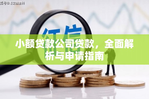 乡城小额贷款公司贷款，全面解析与申请指南
