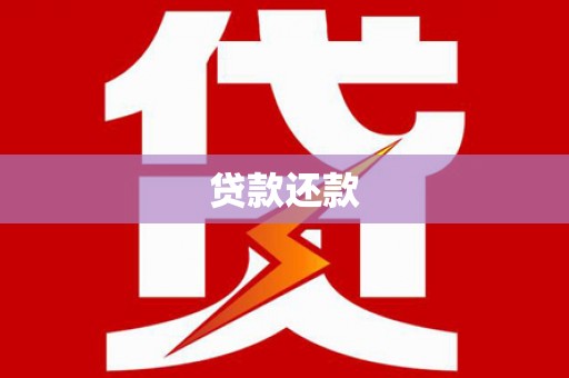 武侯贷款还款