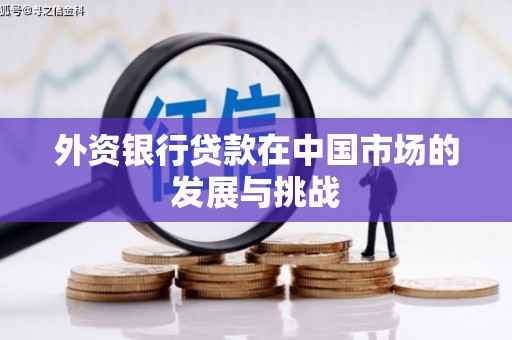 长白外资银行贷款在中国市场的发展与挑战