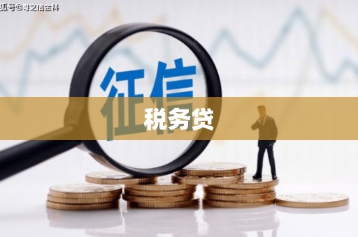 金寨税务贷