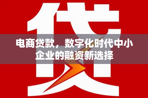 洪雅电商贷款，数字化时代中小企业的融资新选择