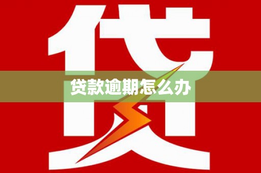 海伦贷款逾期怎么办