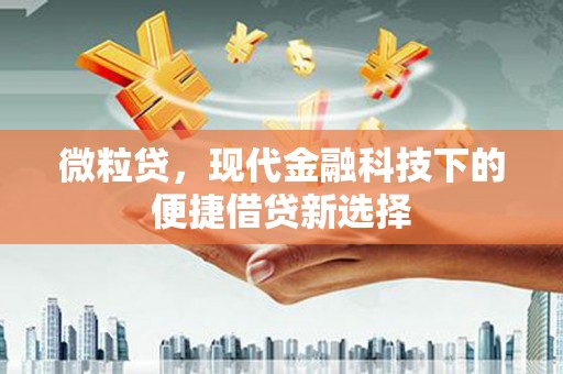 湖里微粒贷，现代金融科技下的便捷借贷新选择