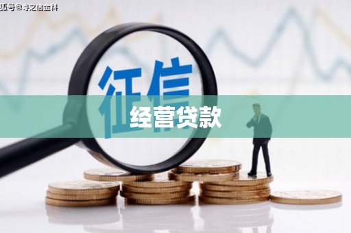 黔西经营贷款