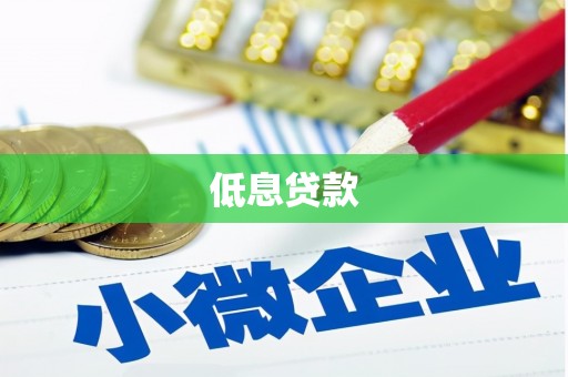 囊谦低息贷款