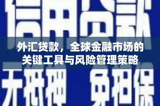 苑里外汇贷款，全球金融市场的关键工具与风险管理策略