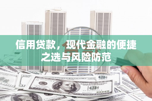 阜沙信用贷款，现代金融的便捷之选与风险防范