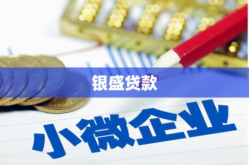 抚顺银盛贷款