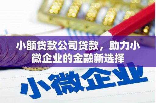 巩义小额贷款公司贷款，助力小微企业的金融新选择