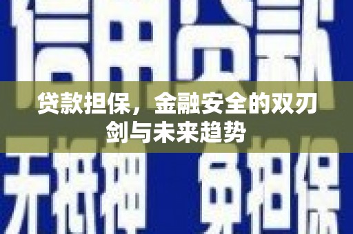 靖州贷款担保，金融安全的双刃剑与未来趋势