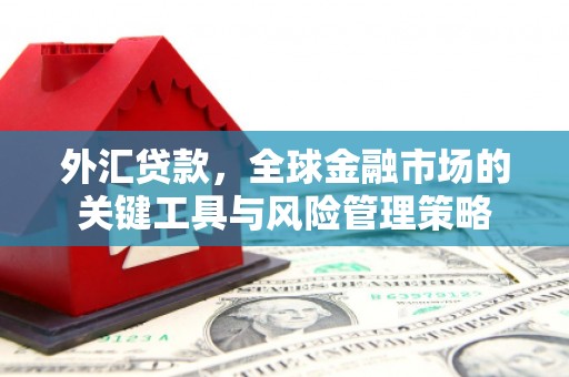 巍山外汇贷款，全球金融市场的关键工具与风险管理策略