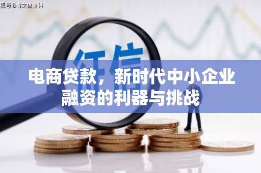 枋山电商贷款，新时代中小企业融资的利器与挑战