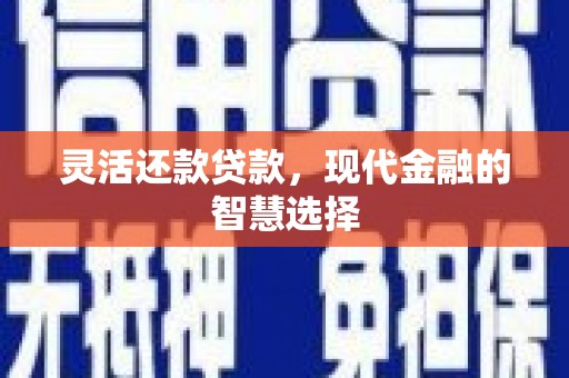 双桥灵活还款贷款，现代金融的智慧选择
