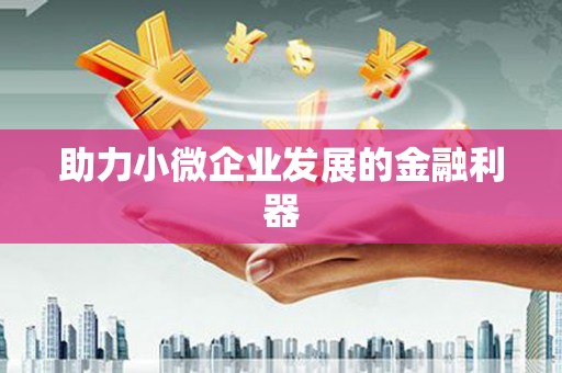 宝山助力小微企业发展的金融利器