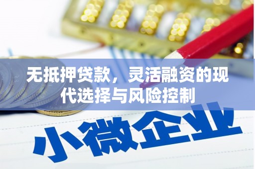 平舆无抵押贷款，灵活融资的现代选择与风险控制