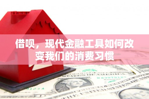 云岩借呗，现代金融工具如何改变我们的消费习惯