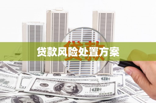 安图贷款风险处置方案
