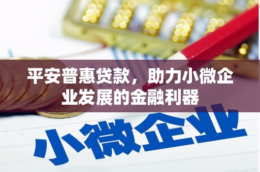 平安普惠贷款，助力小微企业发展的金融利器