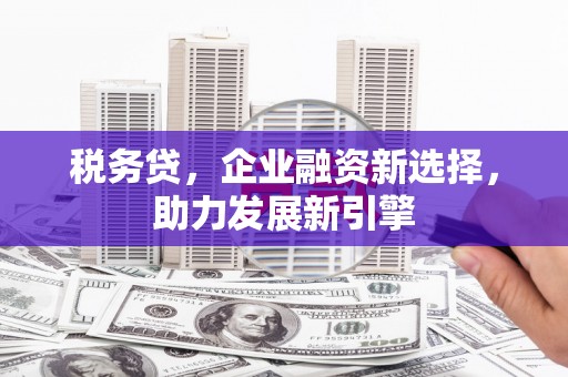 武穴税务贷，企业融资新选择，助力发展新引擎