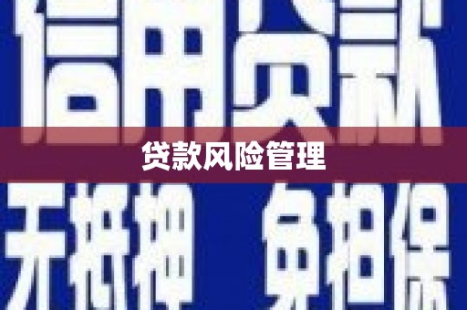 德宏贷款风险管理