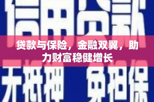 五华贷款与保险，金融双翼，助力财富稳健增长